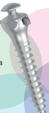 Inter radicular screw